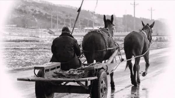 關押18年的土匪出獄,舉報一72歲老農,此人曾害死5名師級幹部 關押18年的土匪出獄,舉報一72歲老農,此人曾害死5名師級幹部