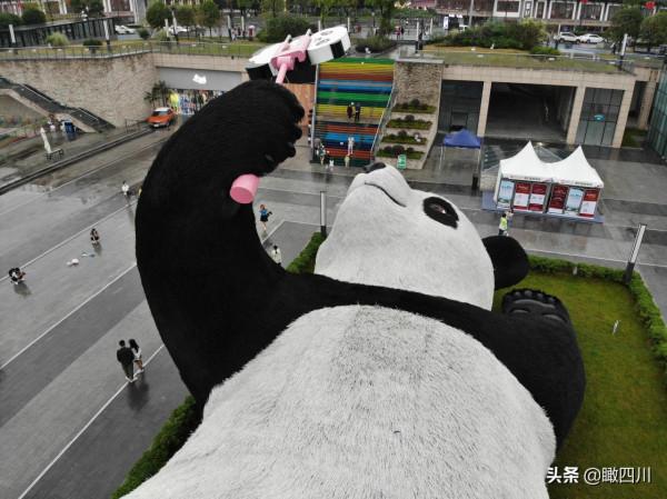“大黃鴨之父”在中國建了座全球最重大熊貓雕塑:130噸重26米長 “大黃鴨之父”在中國建了座全球最重大熊貓雕塑:130噸重26米長