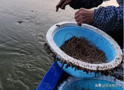 農業部新規:12月1日起,一線一鉤、路亞等可以使用?別高興太早 農業部新規:12月1日起,一線一鉤、路亞等可以使用?別高興太早