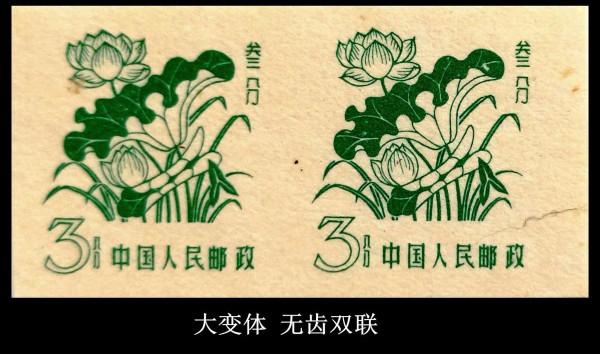 十分普通的你也可以收藏、也可以賺到錢 十分普通的你也可以收藏、也可以賺到錢