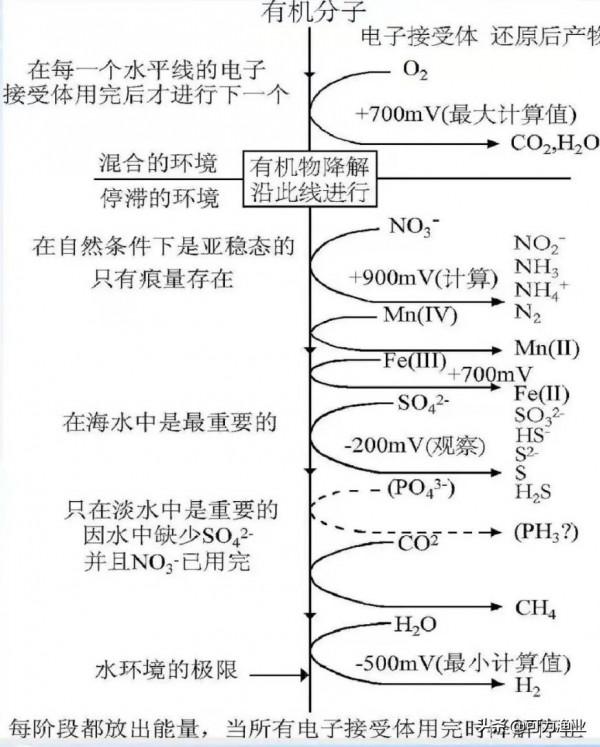 養殖中後期氨氮、亞鹽總是束手無策?不如試試調好orp 養殖中後期氨氮、亞鹽總是束手無策?不如試試調好orp