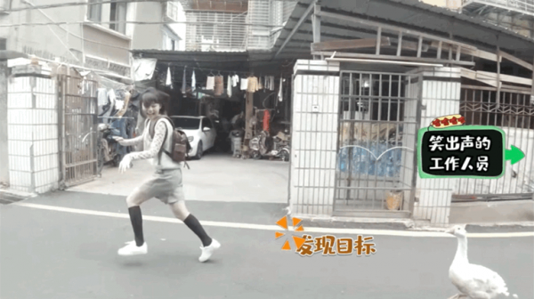 宋祖兒節目中被大鵝追擊！慌忙逃竄五官亂飛，大聲呼救沒人理