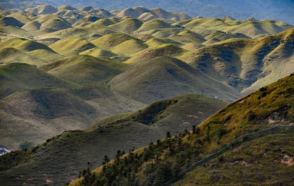 探秘中國十大國家公園體制試點區