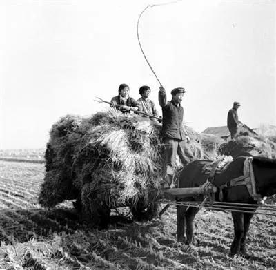 父親粗布上衣裡邊的兩隻大布兜&mdash;&mdash;凌晨的秘密