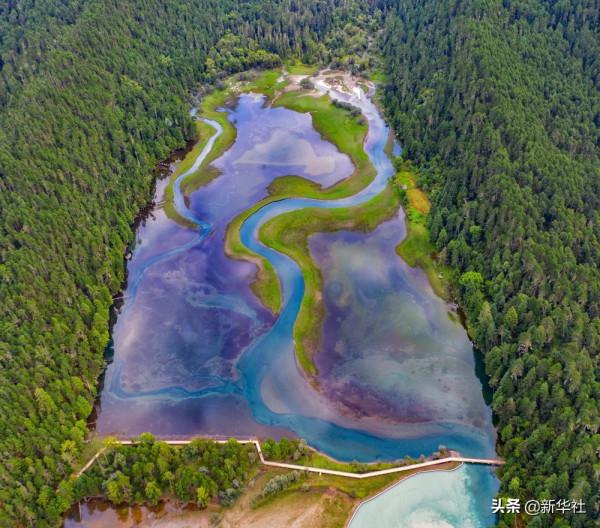 新華全媒+|這裡,是西藏林芝 新華全媒+|這裡,是西藏林芝