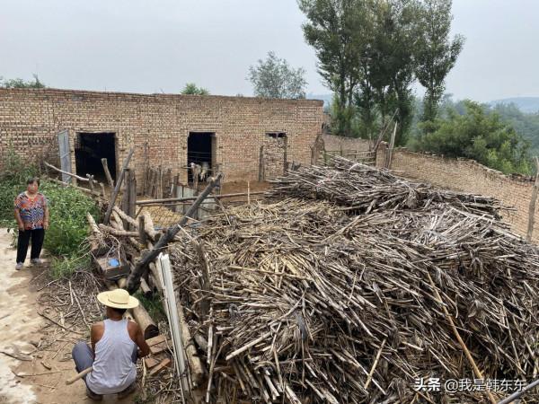 山西中部山村，人口不到百人，留守老人勤勞樂觀—汾陽市馬家社村