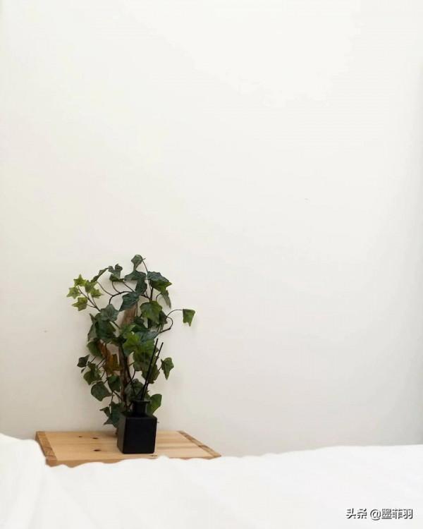 單身漢頂著壓力買下小複式,產證70平白得30平大露臺!太快活了 單身漢頂著壓力買下小複式,產證70平白得30平大露臺!太快活了