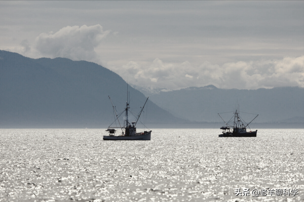 瘋狂“搶”漁20年後，日本漁業陷入死局，扶不起就破罐子破摔？