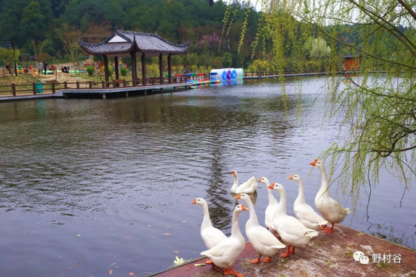 週末遊玩地指南！48小時假期就該這麼玩