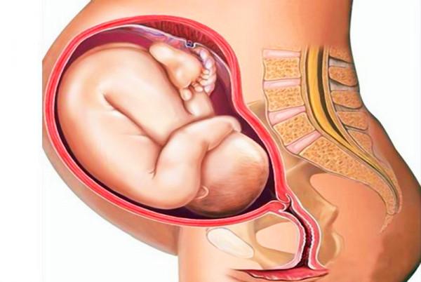 睡姿不當會導致新生兒頭骨變形,不少新手媽媽還不懂,及時糾正 睡姿不當會導致新生兒頭骨變形,不少新手媽媽還不懂,及時糾正