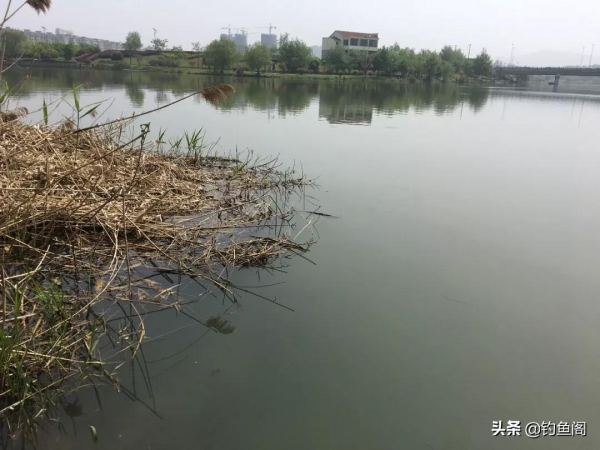 都是釣草邊，為何別人爆護你空軍？下次記住要找這種位置