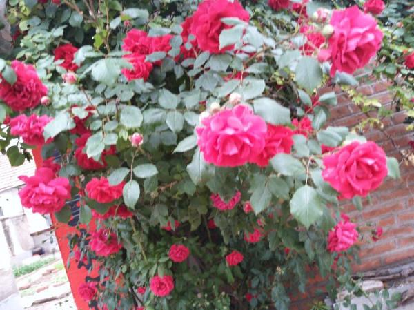 老年人要注意以下三事,對身體健康有好處 老年人要注意以下三事,對身體健康有好處