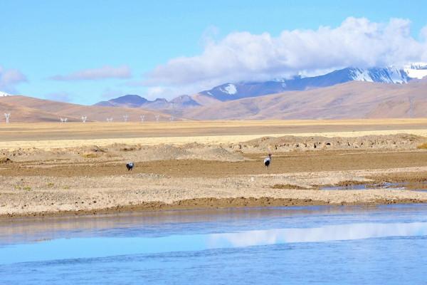 藏西秘境雪域之巔上的“魔眼”達格架間隙噴泉