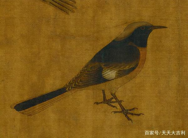 最美寫生稿——黃筌《寫生珍禽圖》