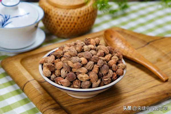 夜尿頻繁?送你三味中藥,助你補脾益肺,溫腎助陽,遠離起夜煩惱 夜尿頻繁?送你三味中藥,助你補脾益肺,溫腎助陽,遠離起夜煩惱