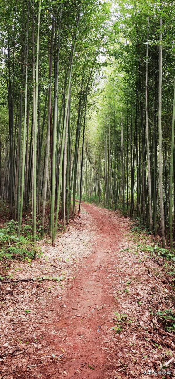 飛天山徒步，竟誤入桃源深處