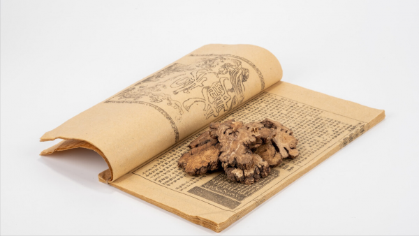 胸痛、乏力皆&OpenCurlyDoubleQuote;氣虛&rdquo;？一個方法補氣活血，看中醫如何治療冠心病