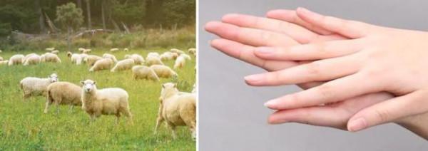 建議大家：逛超市的時候，遇到這3個老牌“萬能霜”，別錯過