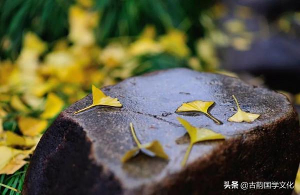 《道德經》這三句話，讓你領悟天道、地道、人道的秘密