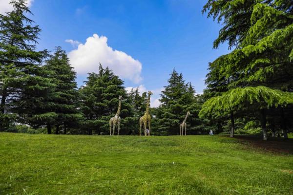 夏日度假好去處，古九州之一青州遊玩攻略