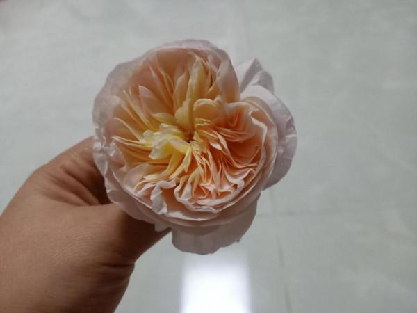 又是一個播種季節 又是一個播種季節