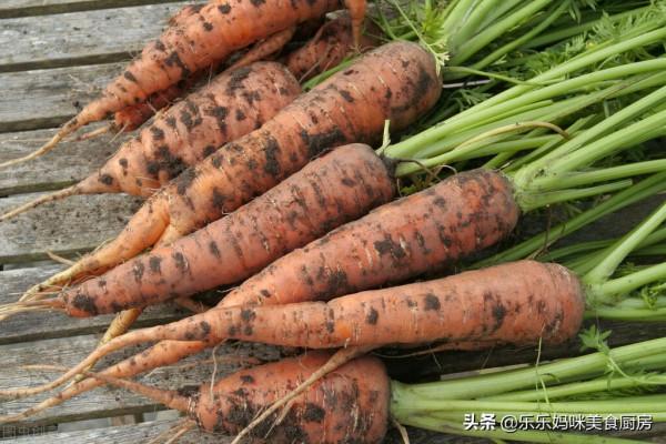 菜價再高,3種時令蔬菜也要常給孩子吃,含鉀高,增強體質身體好 菜價再高,3種時令蔬菜也要常給孩子吃,含鉀高,增強體質身體好