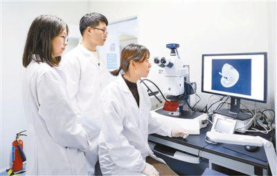 在這裡，是千里馬就有舞臺（加快建設世界重要人才中心和創新高地③）