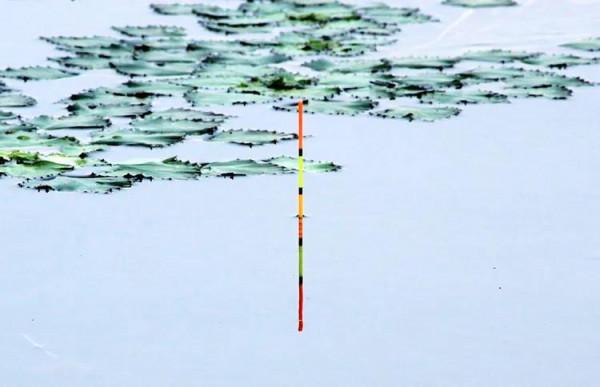 好漂用錯了地方當了冤大頭？教你智慧用漂，把廉價漂用出價值