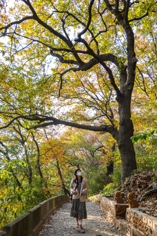 武漢寶通禪寺：在千年皇家寺院賞秋，是什麼感覺？