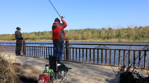 冬釣鯽魚，串鉤總是跑魚哪裡出了問題？老釣友逐一解讀，避免踩坑