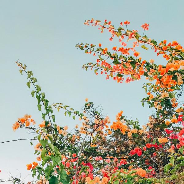 人生本過客，得失皆隨緣