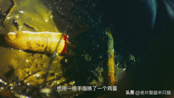 《東邪西毒》為什麼只有“東邪、西毒和北丐”,卻沒有“南帝”? 《東邪西毒》為什麼只有“東邪、西毒和北丐”,卻沒有“南帝”?