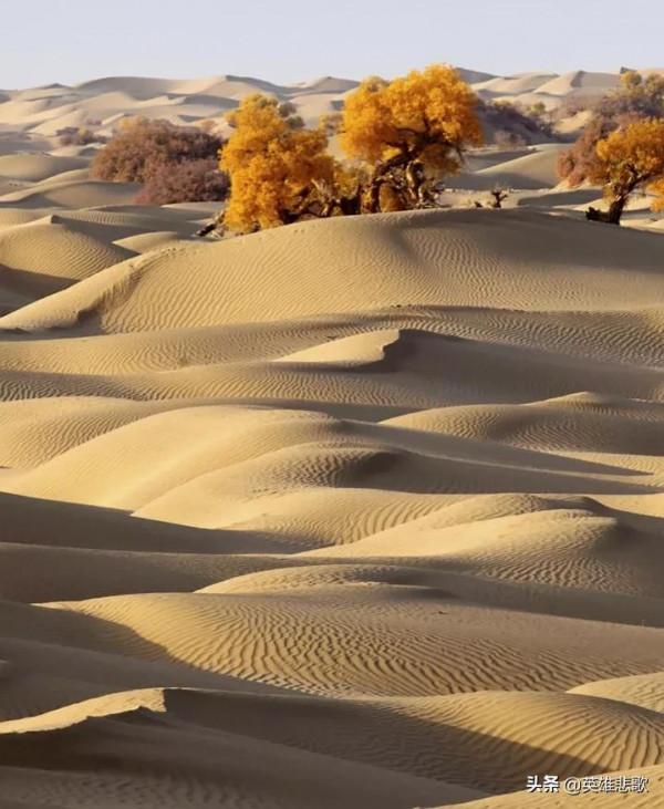 沙子如此緊俏，價格連年瘋漲，為何不去沙漠中運輸或到黃河裡採？