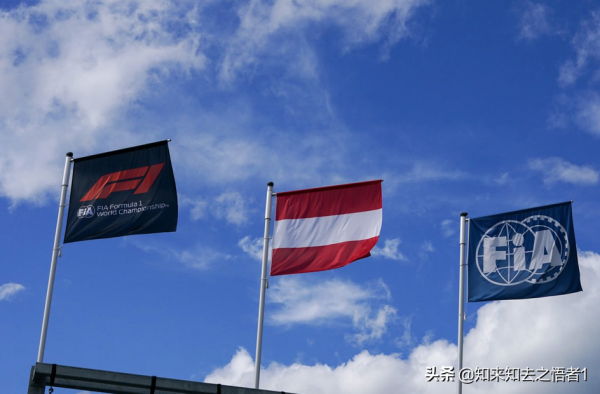 F1內幕:FIA和FOM有什麼區別? F1內幕:FIA和FOM有什麼區別?