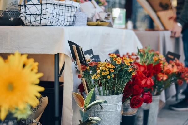 適合虎年養的5種“虎花”，虎虎生威不說，還特好養