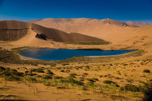 求你別再問我“薏米水能不能祛溼？”統一回復：中醫溼邪6大類