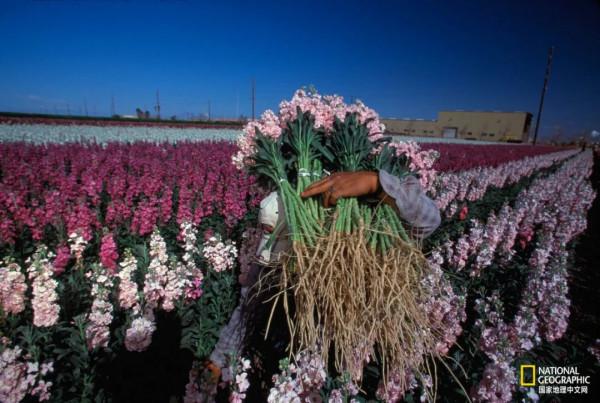 這30張圖,經典到難以超越 這30張圖,經典到難以超越