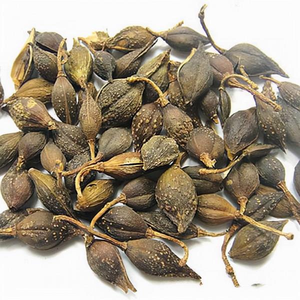 扶正消毒飲——治療痘痘、瘡家的重要方劑