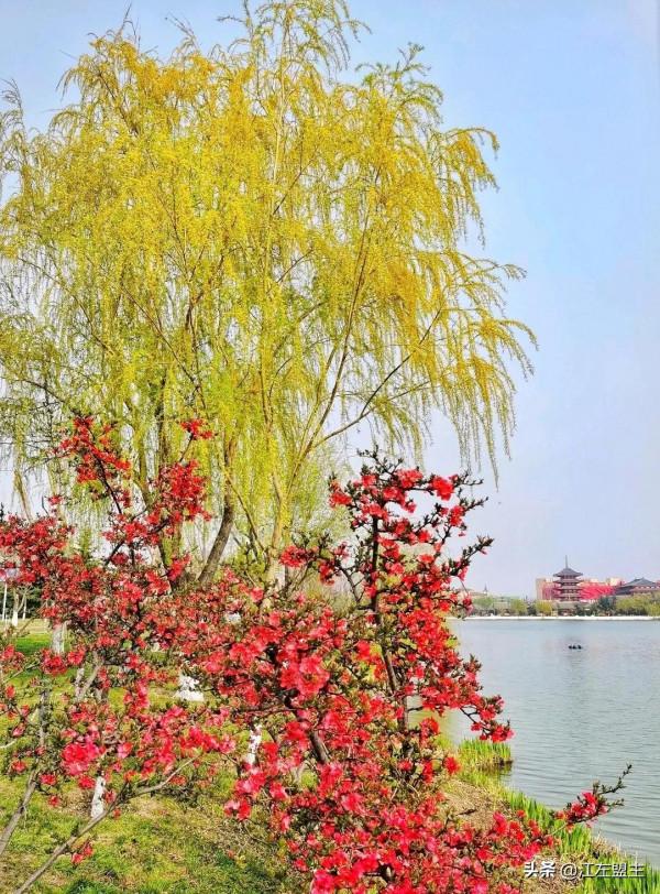 期待春天來了的時候，和你一日看盡長安花