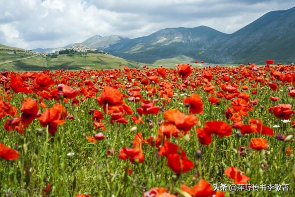 環球航海日記370-萍蹤傳書續集（作者：李敏）
