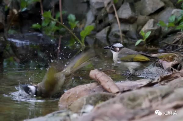 那些看似無聊的等待