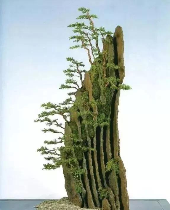 奇石盆景，別具一格