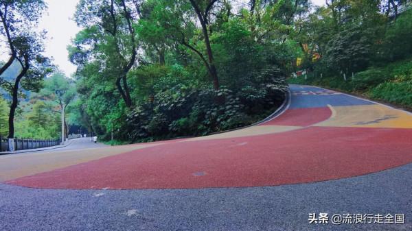 只是逛個公園，沒想卻有這麼多景點，看到臘梅確實讓人格外驚喜