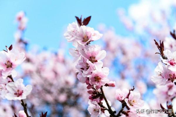 漫談陪伴：意義、方式和價值認同感