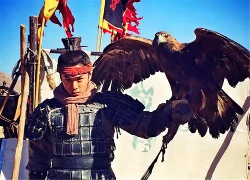 我國曆史上的10大名將，項羽第7，岳飛第9，關羽榜上無名