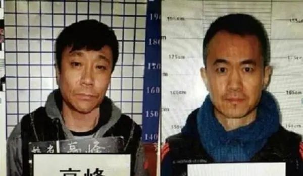 離開央視8位主持人，各有各的原因，有人身家破億，有人一落千丈