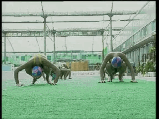 爬泳與仰泳前滾翻轉身的兩個動作要領和五個練習方法