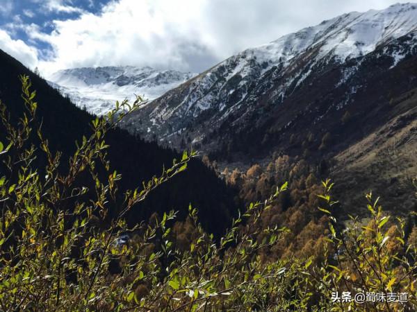 四川.雅克夏雪山 四川.雅克夏雪山