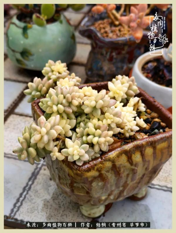 世間瞬息萬變，我們的友誼不變，閨蜜相聚，賞肉言歡