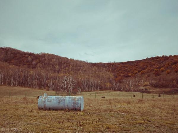 你是不是常常忽略了這種與生俱來的能力? 你是不是常常忽略了這種與生俱來的能力?